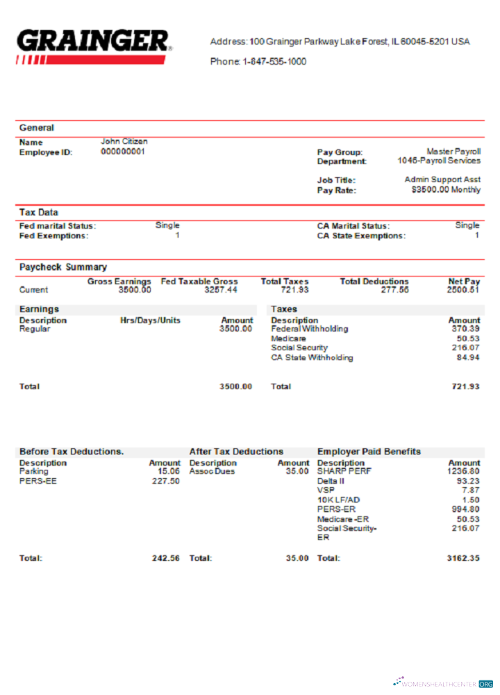 Download USA Grainger industry company pay stub Photoshop template